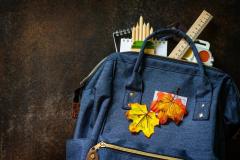 Searching For The Finest Bulk School Bags- Reach