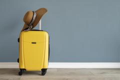 Finding The Best Bulk Luggage  Connect With Oasi