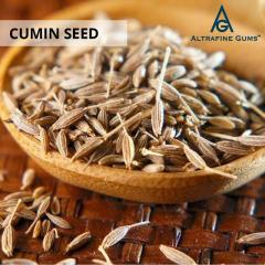 Indian Spices - Cumin Seeds Supplier - Altrafine