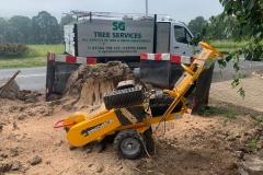 Stump Grinding Services From Sg Tree Services