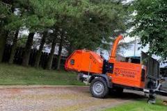 Crown Reduction Services - Professional Tree Pru