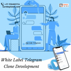 Learn The Truth About Telegram Clone App Develop