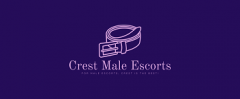 New Straight Male Escort Directory Seeks Men Of 
