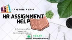 Why Is It Important To Hire Assignment Experts