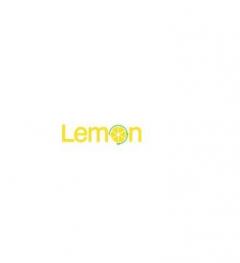 Lemon Business Solutions Ltd