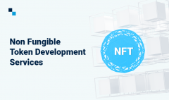 Buy The Best Non Fungible Token Development Serv