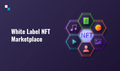 Antier Solutions Offers White Label Nft Marketpl