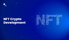 Get Nft Crypto Development Services At Optimal P