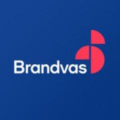 Market Research Analysis Tool By Brandvas