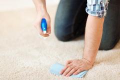 Affordable Carpet Cleaning Service In London
