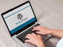 Looking For Wordpress Seo Services In Uk Contact