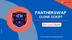 Pantherswap Clone Script