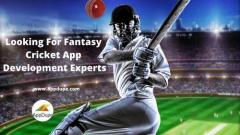 Rule The Online Sports Industry Via Fantasy Cric