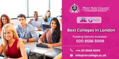Diploma Courses