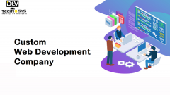 Best Custom Web Application Development Company 