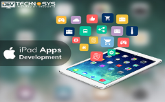 Top Ipad Web App Development Company - Dev Techn