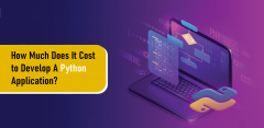 How Much Does It Cost To Develop A Python Applic