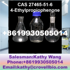 Manufacturer Supply Cas 27465-51-6 4-Ethylpropio