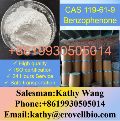 Sale Cas 119-61-9 Benzophenone With Manufacturer