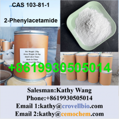 China Manufacturer Supply 2Phenylacetamide Conta