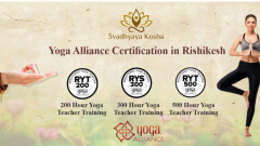 Join The Best 200 Hour Yoga Teacher Training