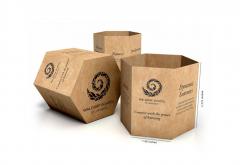 Hexagon Boxes Specifically Designed For Packagin
