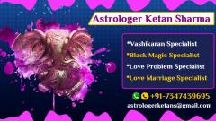 Astrologer For Love Marriage - Predict My Love L