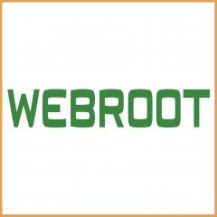 Errors When Installing Webroot Antivirus
