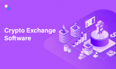 Business-Oriented Cryptocurrency Exchange Develo