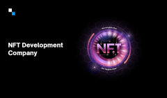 The Best Nft Token Development Company