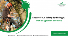 Ensure Your Safety By Hiring A Tree Surgeon In B
