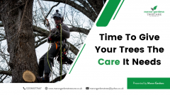 Time To Give Your Trees The Care It Needs
