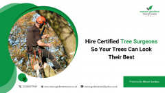 Hire Certified Tree Surgeons So Your Trees Can L