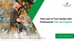 Take Care Of Your Garden With Professional Tree 