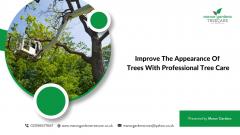Improve The Appearance Of Trees With Professiona