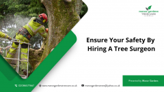 Ensure Your Safety By Hiring A Tree Surgeon