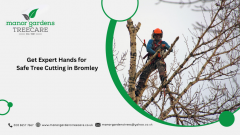 Get Expert Hands For Safe Tree Cutting In Bromle