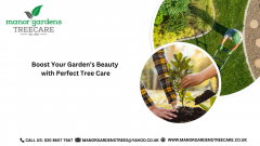 Boost Your Gardens Beauty With Perfect Tree Care