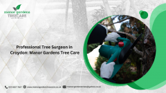 Professional Tree Surgeon In Croydon Manor Garde