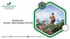 Bromley Tree Services - Manor Gardens Tree Care