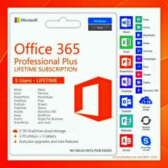 Office 365 Professional Plus Account Online Life