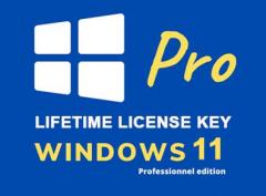 Windows 11 Pro Key - Please Read Description