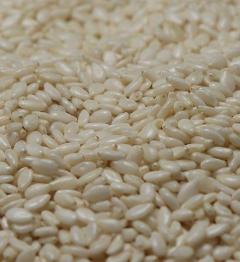 Hulled Sesame Seeds Suppliers In Uk