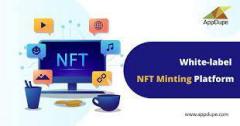 White-Label Nft Minting Platform Development