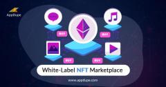 Get The Well-Functioned White-Label Nft Platform