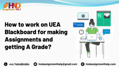 How To Work On Uea Blackboard For Making Assignm
