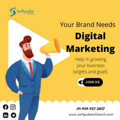 Softpulse Infotech Digital Marketing Agency