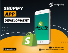 Build Customize Shopify Application For Your Eco