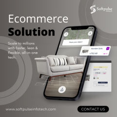 Hire Affordable Ecommerce Experts Softpulse Info
