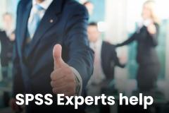 Spss Homework Help By Experts